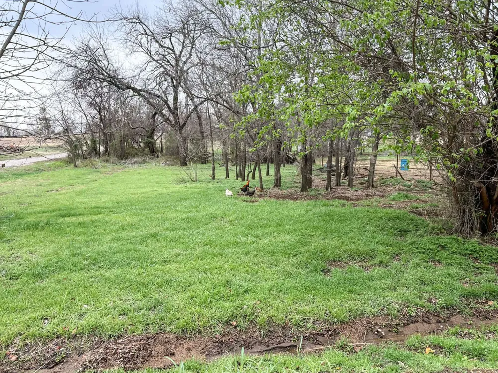 301 W 2nd Street Cisco, TX 76437
