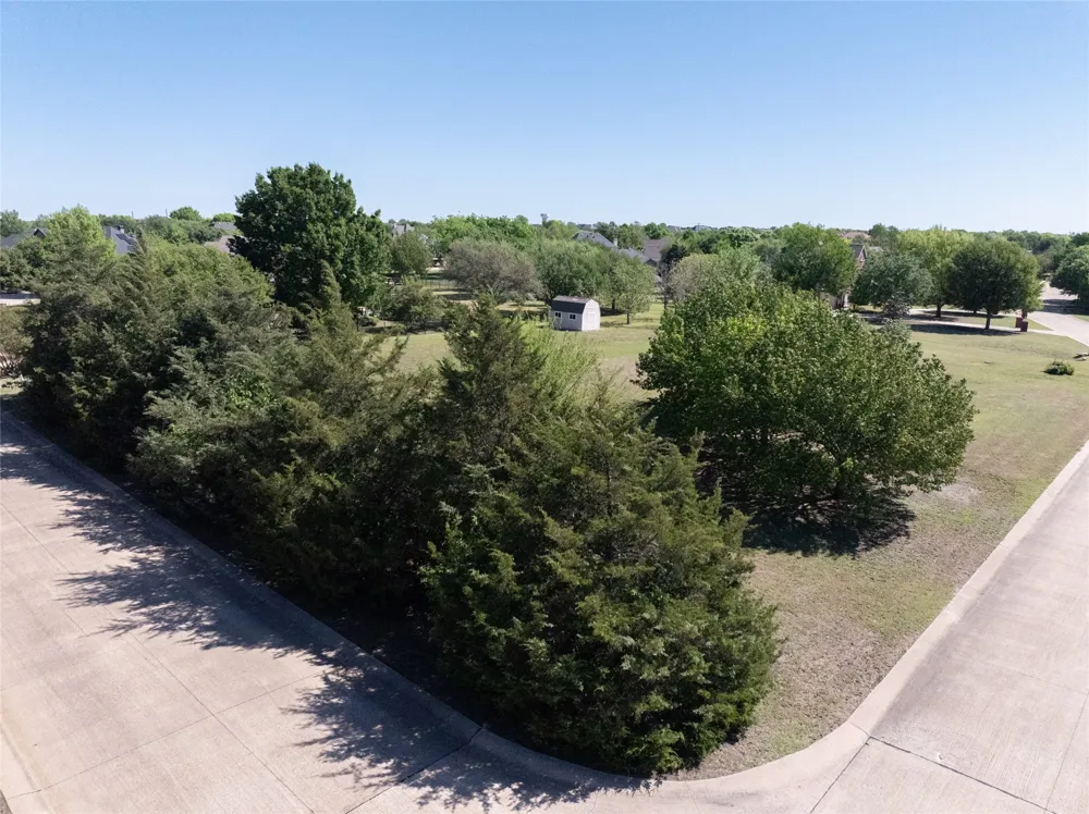 4101 Glen Meadows Drive Parker, TX 75002
