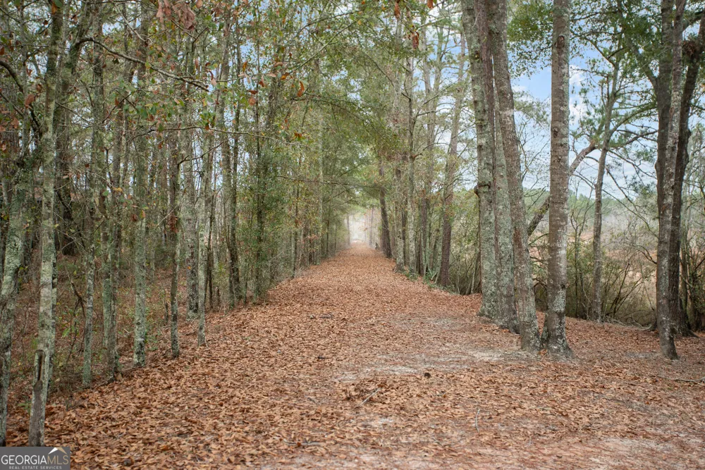 418 Oglesby Pond LN Portal, GA 30450