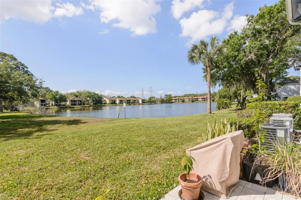 207 CYPRESS LANE Oldsmar, FL 34677