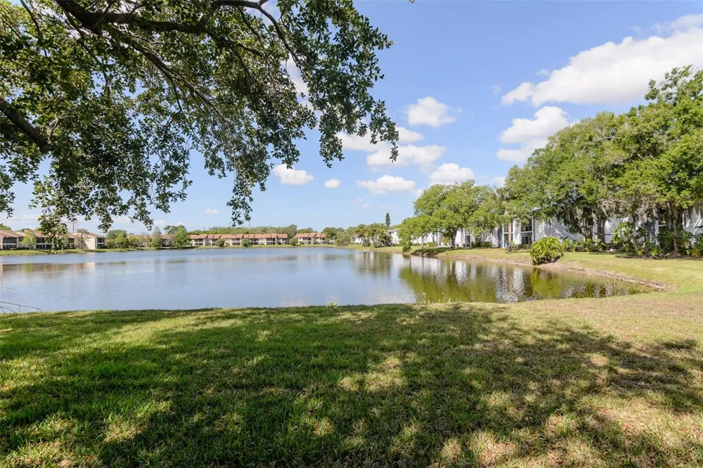 207 CYPRESS LANE Oldsmar, FL 34677