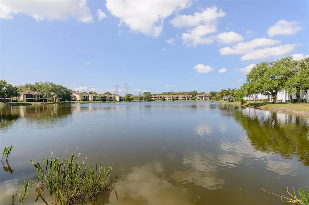 207 CYPRESS LANE Oldsmar, FL 34677