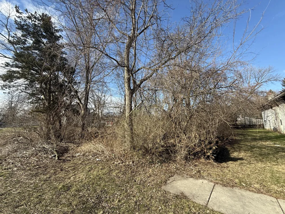 358 Arcola Street Inkster, MI 48141