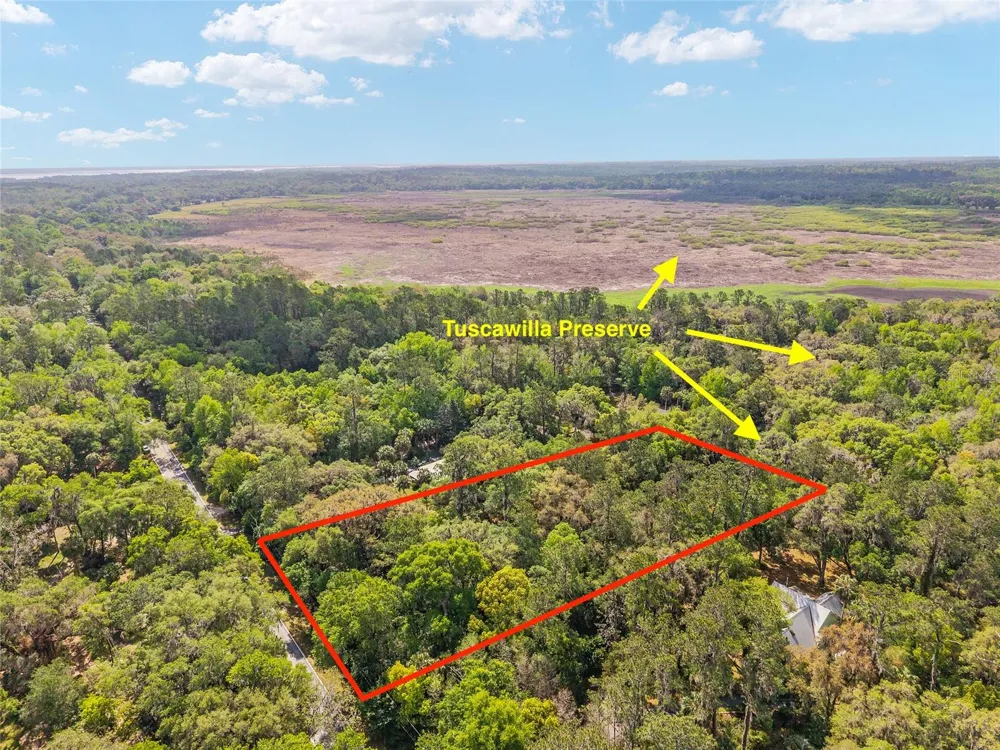 227 SE TUSCAWILLA ROAD Micanopy, FL 32667