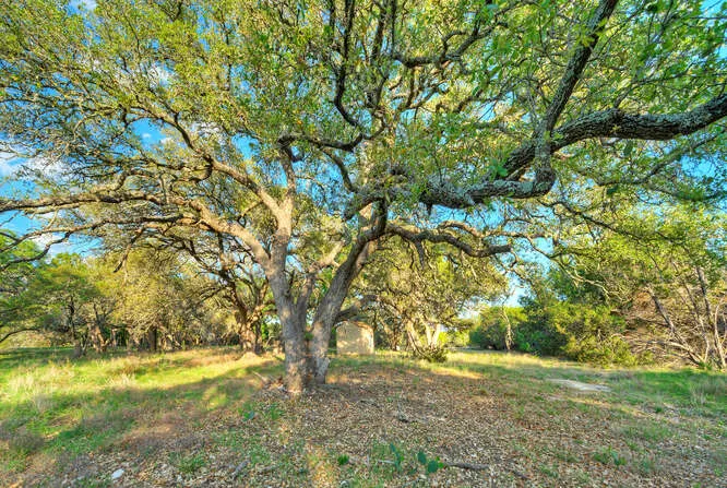 8 Stargazer Drive Lampasas, TX 76550