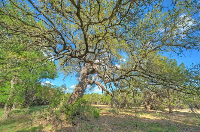 8 Stargazer Drive Lampasas, TX 76550