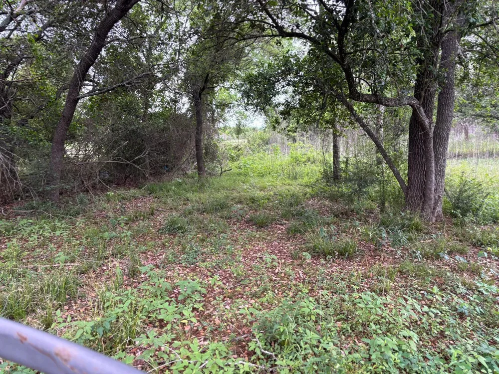 Fm 1489 Brookshire, TX 77423
