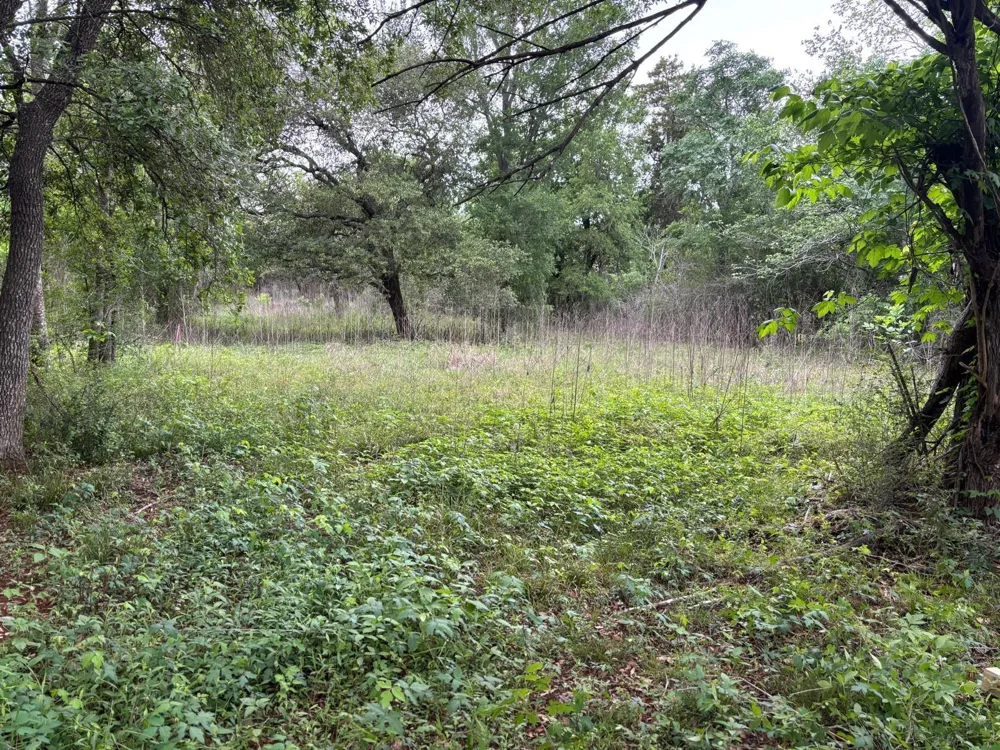Fm 1489 Brookshire, TX 77423