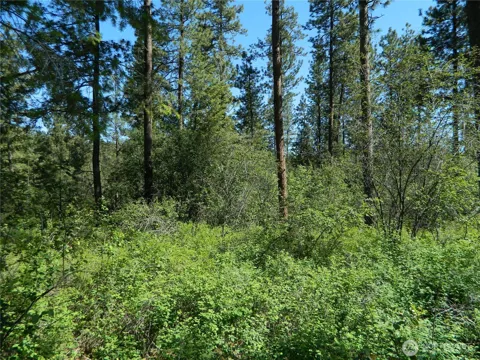 111 TBD Murphy Ranch Road