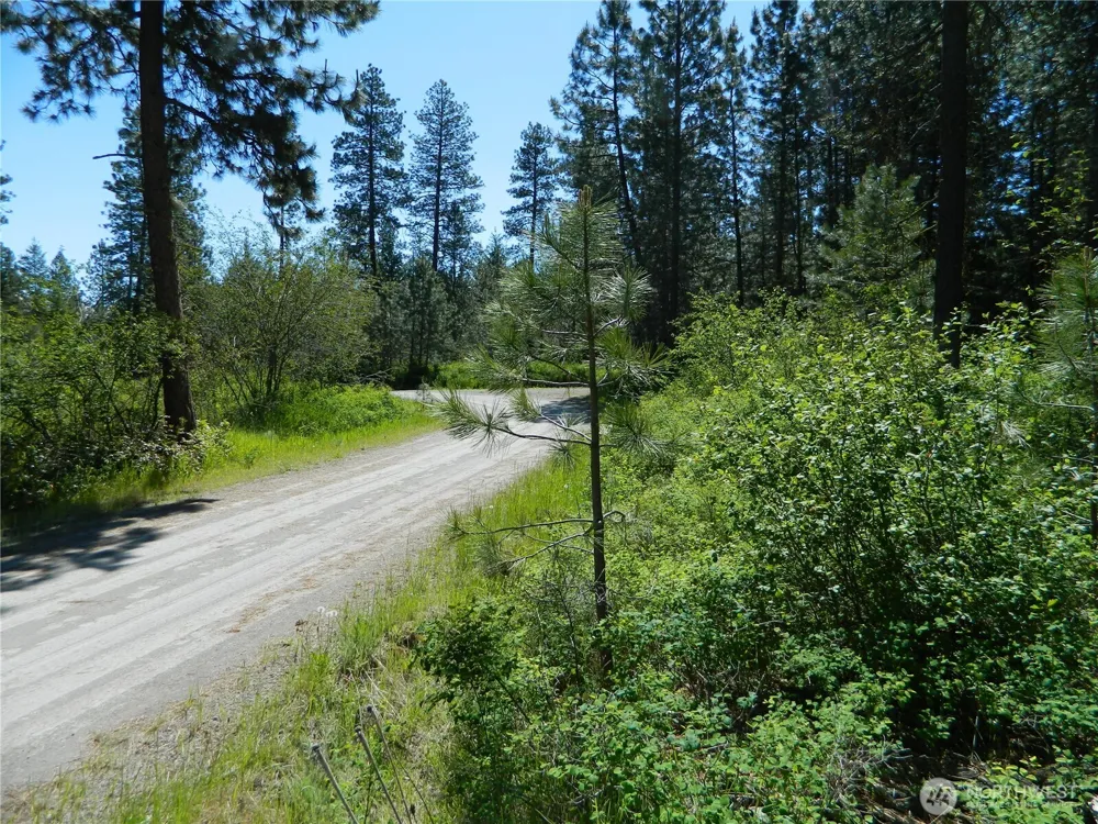 111 TBD Murphy Ranch Road Tonasket, WA 98855