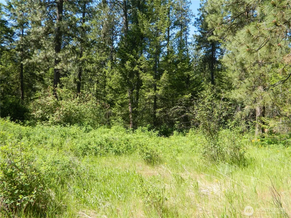 111 TBD Murphy Ranch Road Tonasket, WA 98855