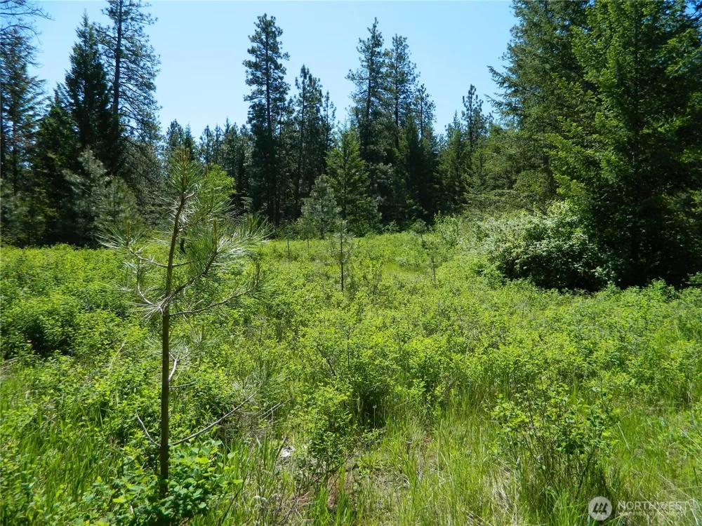 111 TBD Murphy Ranch Road Tonasket, WA 98855