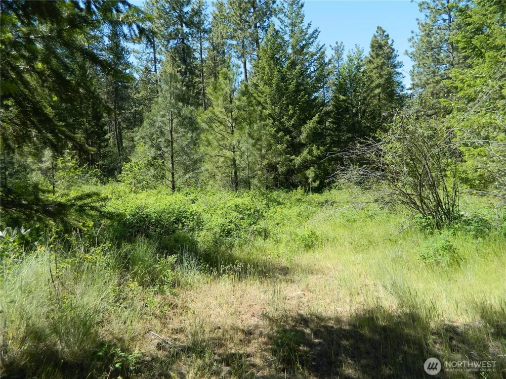111 TBD Murphy Ranch Road Tonasket, WA 98855