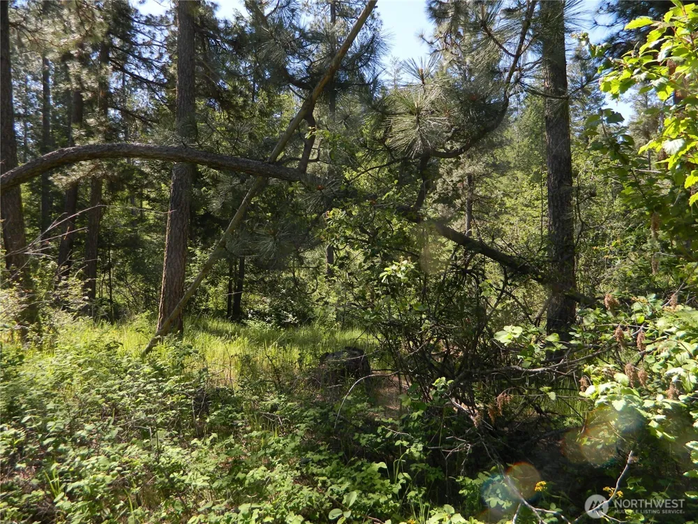 0 Tbd Murphy Ranch Road Tonasket, WA 98855