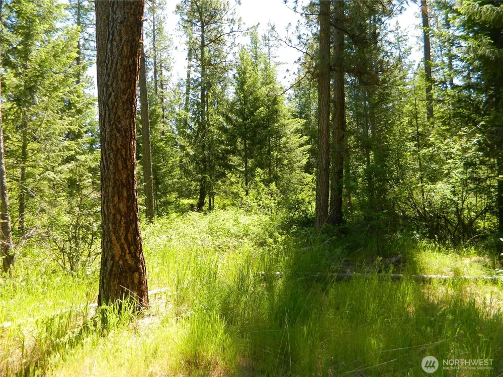 0 Tbd Murphy Ranch Road Tonasket, WA 98855
