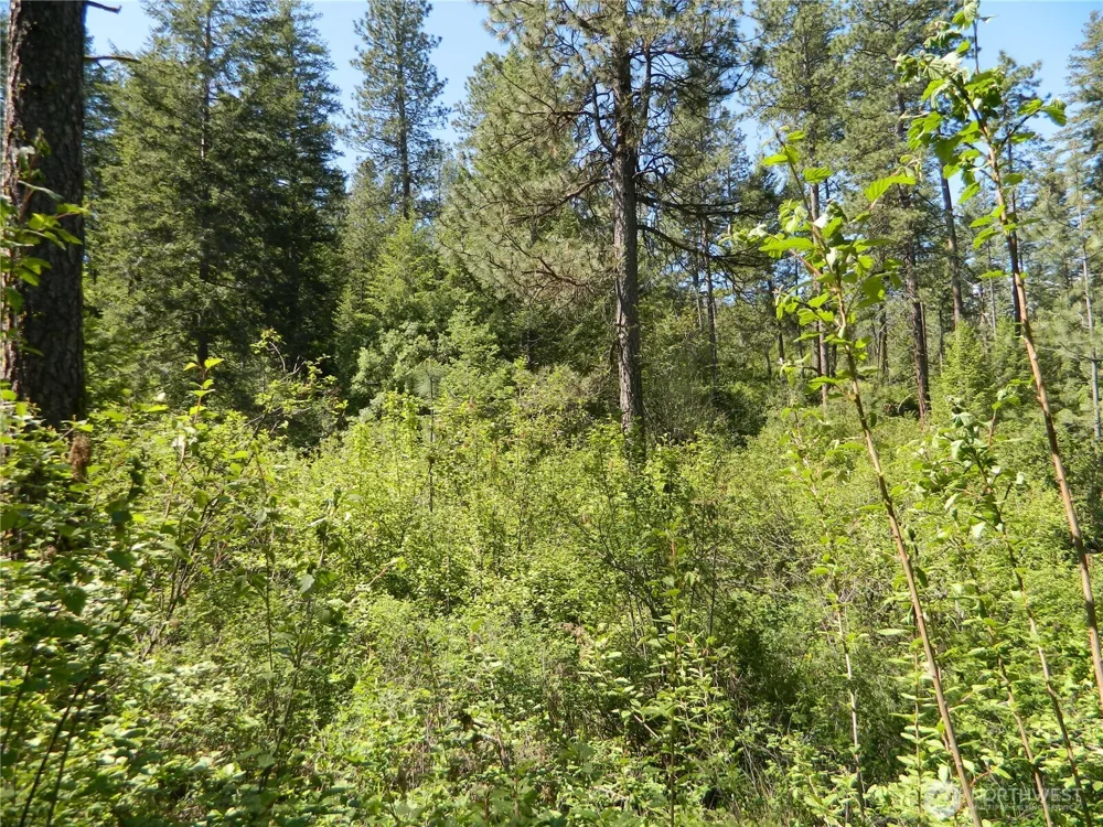 0 Tbd Murphy Ranch Road Tonasket, WA 98855