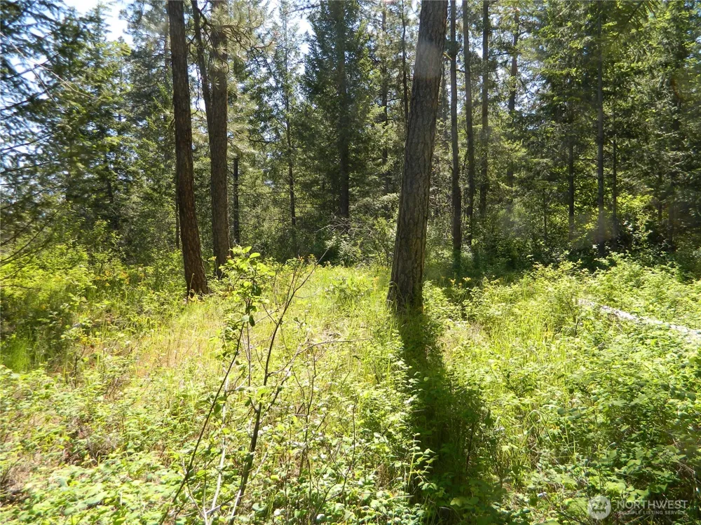 0 Tbd Murphy Ranch Road Tonasket, WA 98855