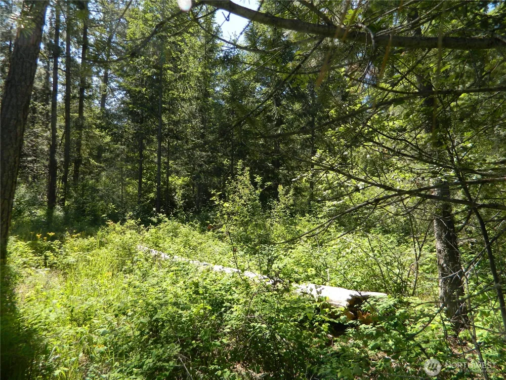 0 Tbd Murphy Ranch Road Tonasket, WA 98855