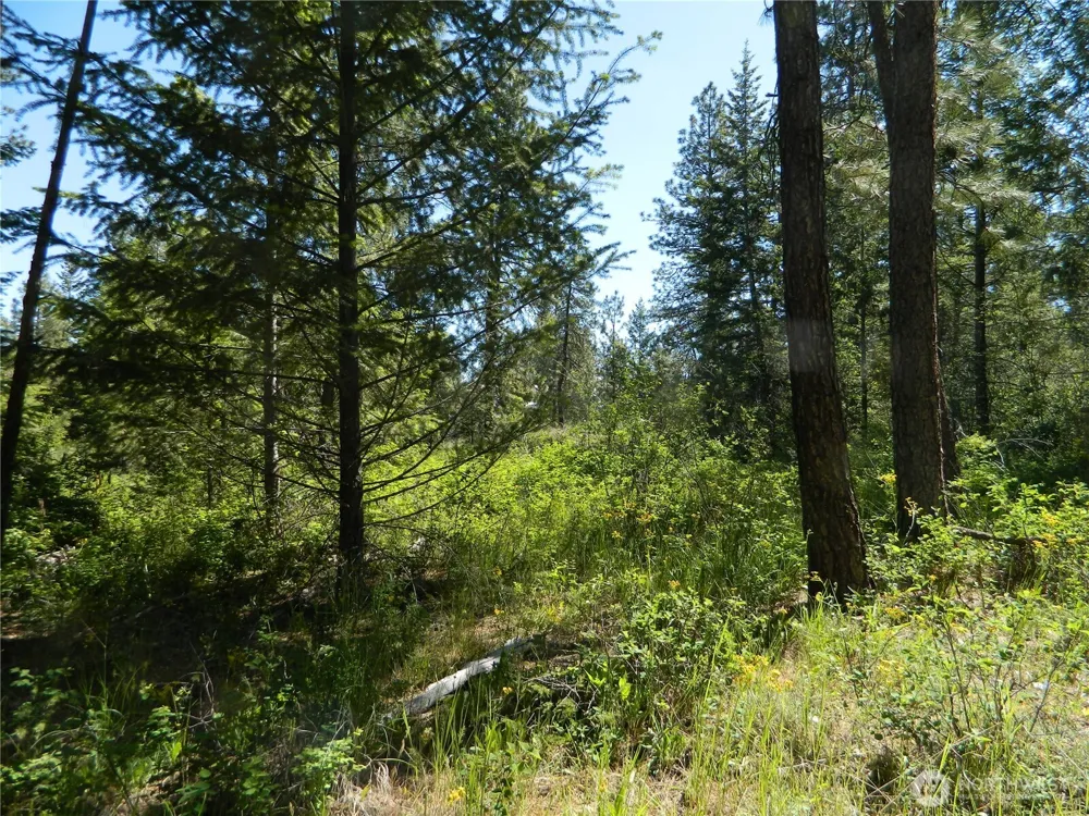 0 Tbd Murphy Ranch Road Tonasket, WA 98855