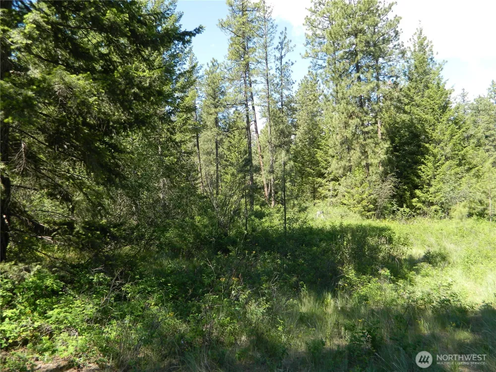 0 Tbd Murphy Ranch Road Tonasket, WA 98855