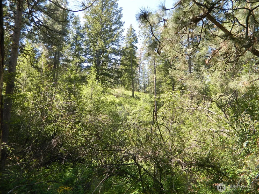 0 Tbd Murphy Ranch Road Tonasket, WA 98855