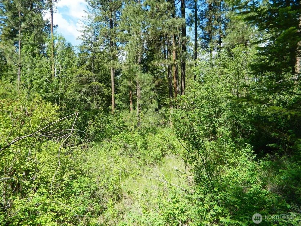 0 Tbd Murphy Ranch Road Tonasket, WA 98855