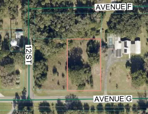AVENUE G