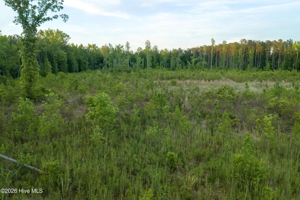Lot 5a Little Island Road Eure, NC 27935