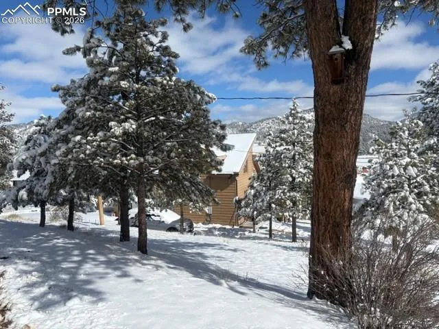 28 Signalman Lane Lake George, CO 80827