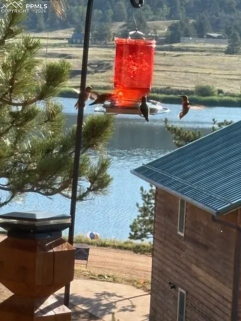 28 Signalman Lane Lake George, CO 80827
