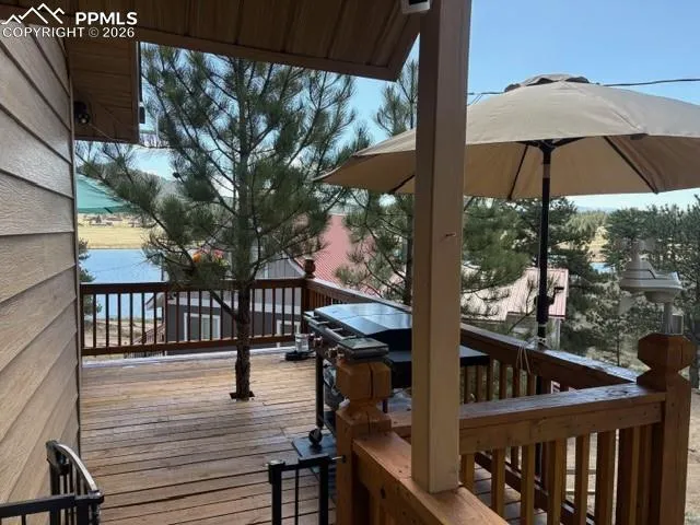 28 Signalman Lane Lake George, CO 80827