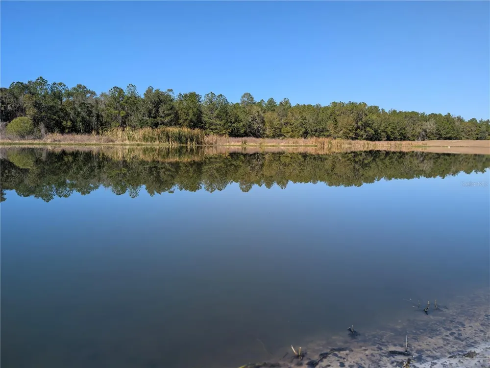 5619 SUMMIT VIEW DRIVE Brooksville, FL 34601