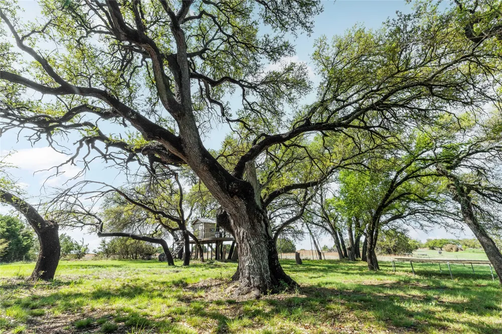 54 County Road 407 Goldthwaite, TX 76844
