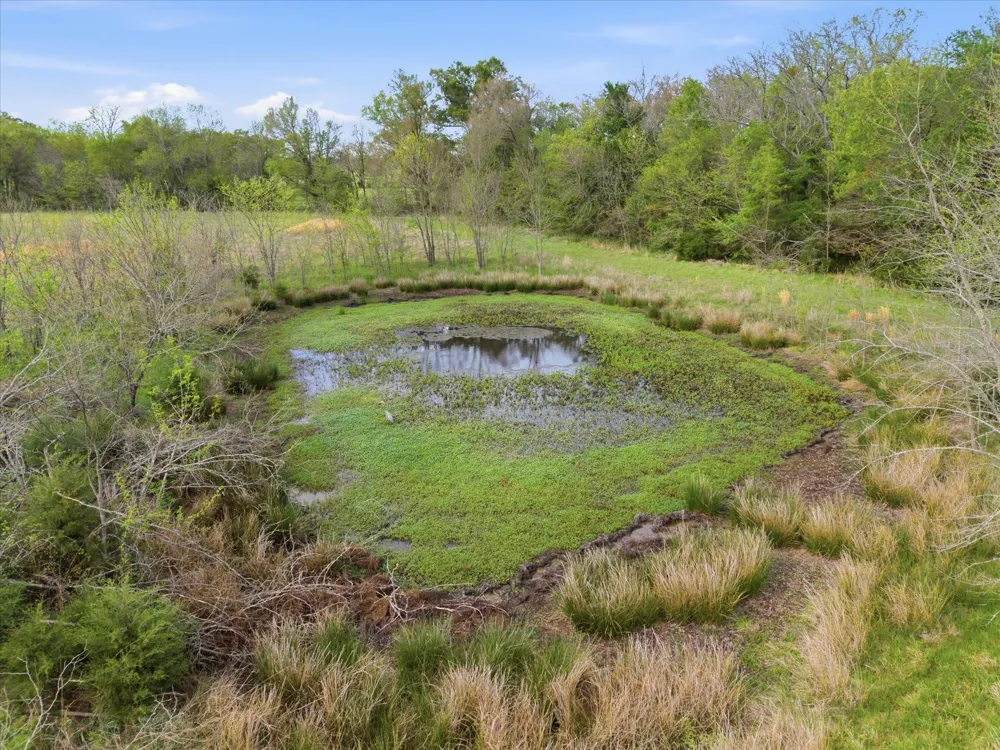 County Road 1151 Miller Grove, TX 75433