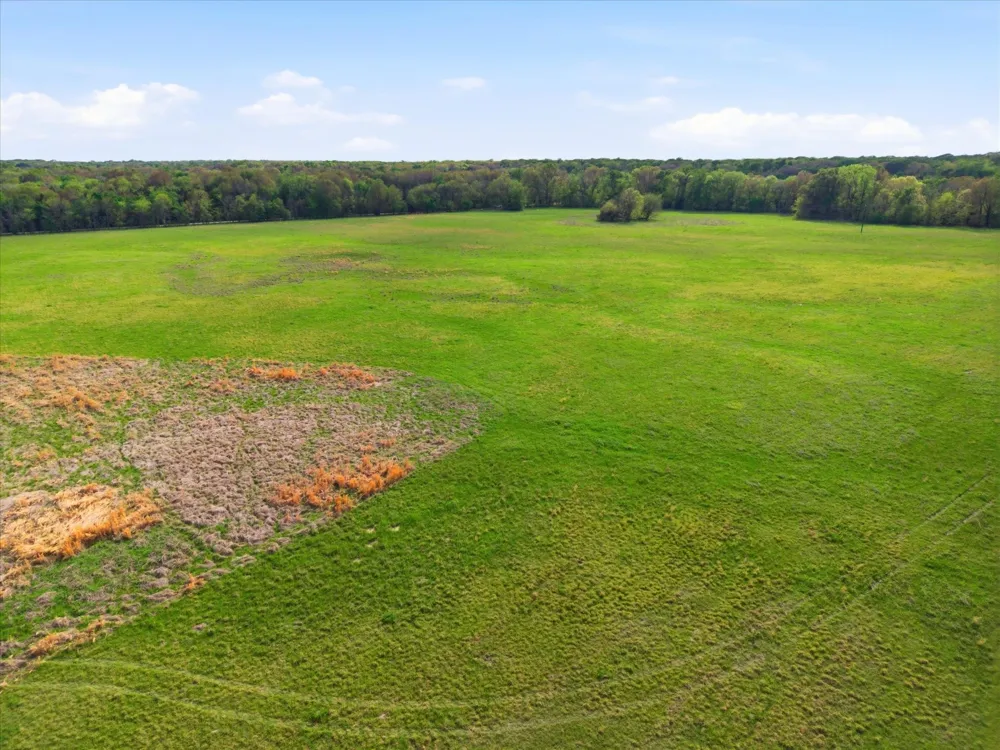 County Road 1151 Miller Grove, TX 75433