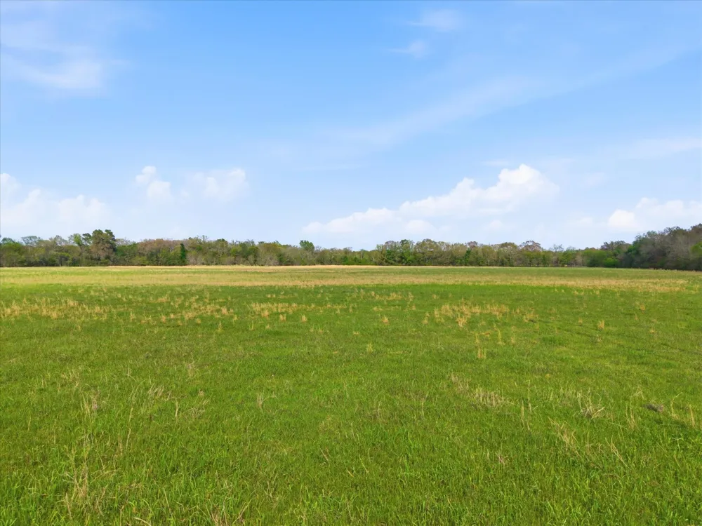 County Road 1151 Miller Grove, TX 75433