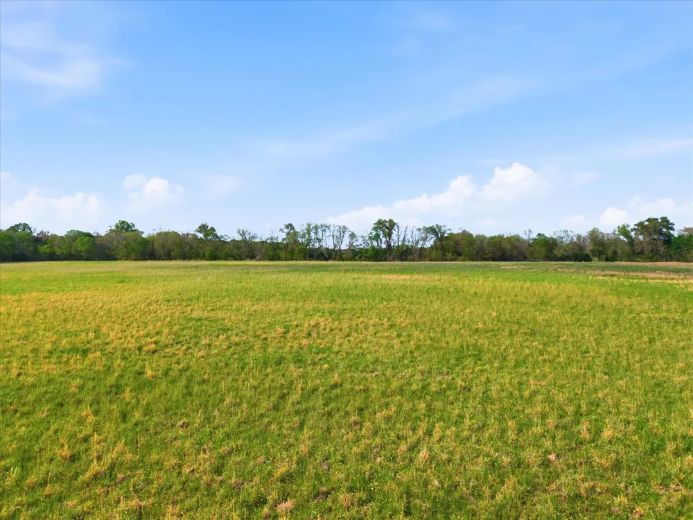County Road 1151 Miller Grove, TX 75433