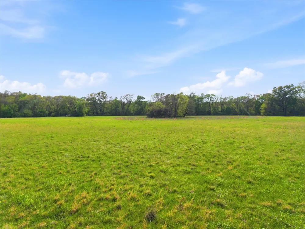 County Road 1151 Miller Grove, TX 75433