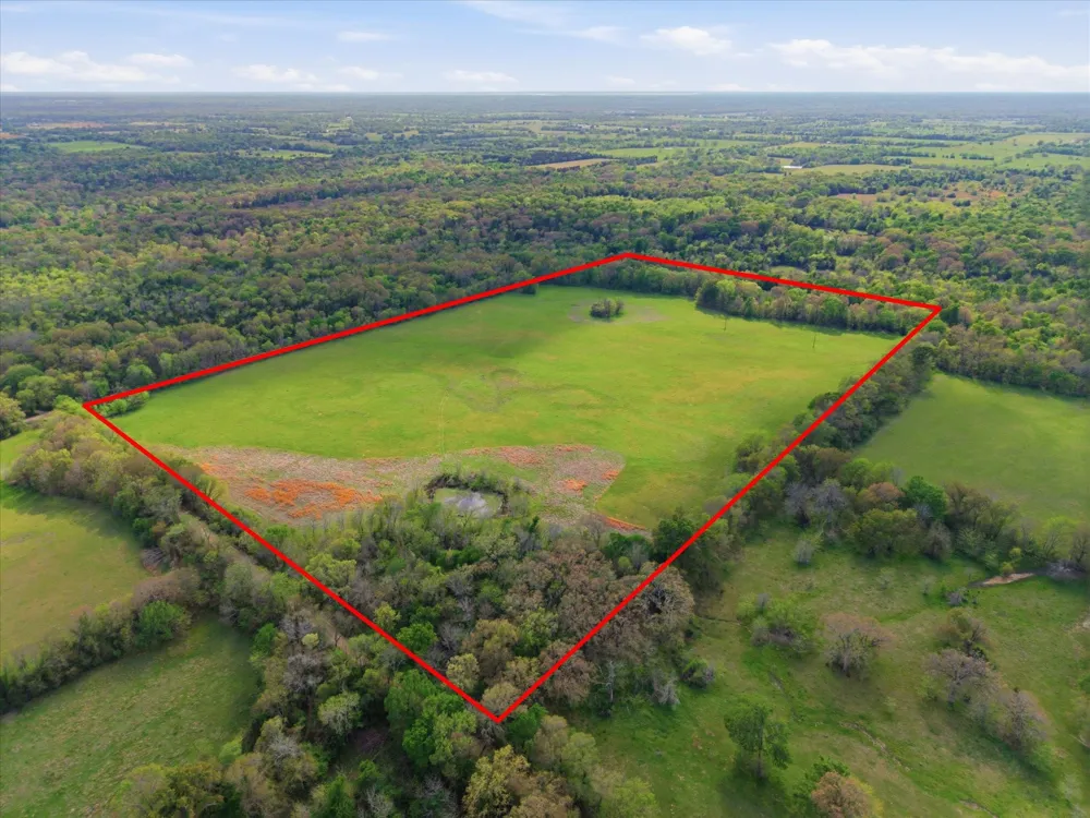 County Road 1151 Miller Grove, TX 75433