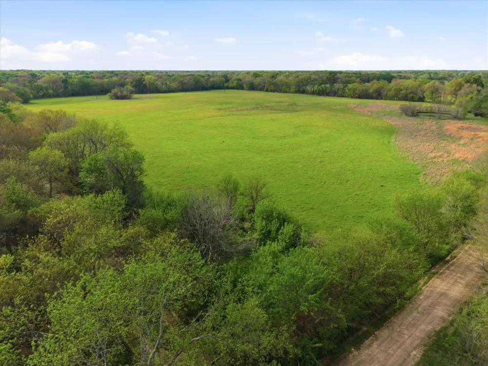 County Road 1151 Miller Grove, TX 75433