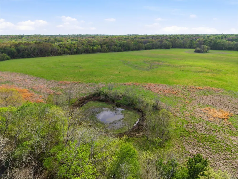 County Road 1151 Miller Grove, TX 75433