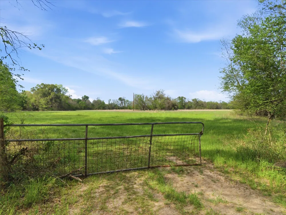 County Road 1151 Miller Grove, TX 75433