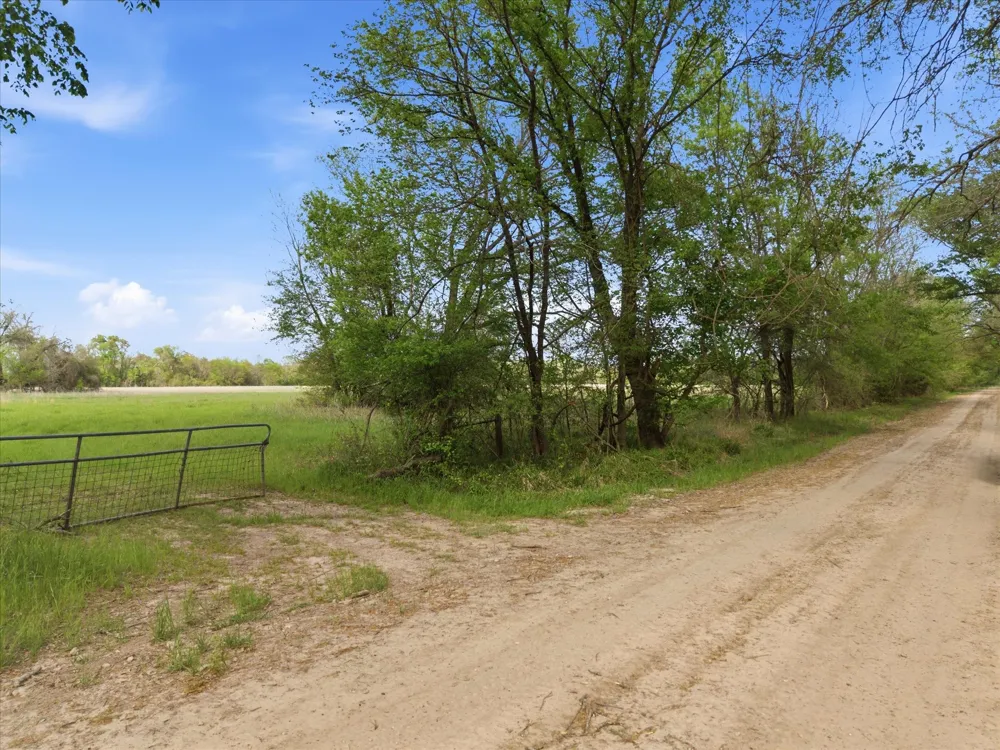 County Road 1151 Miller Grove, TX 75433