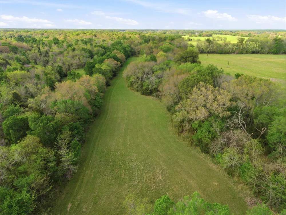 County Road 1151 Miller Grove, TX 75433