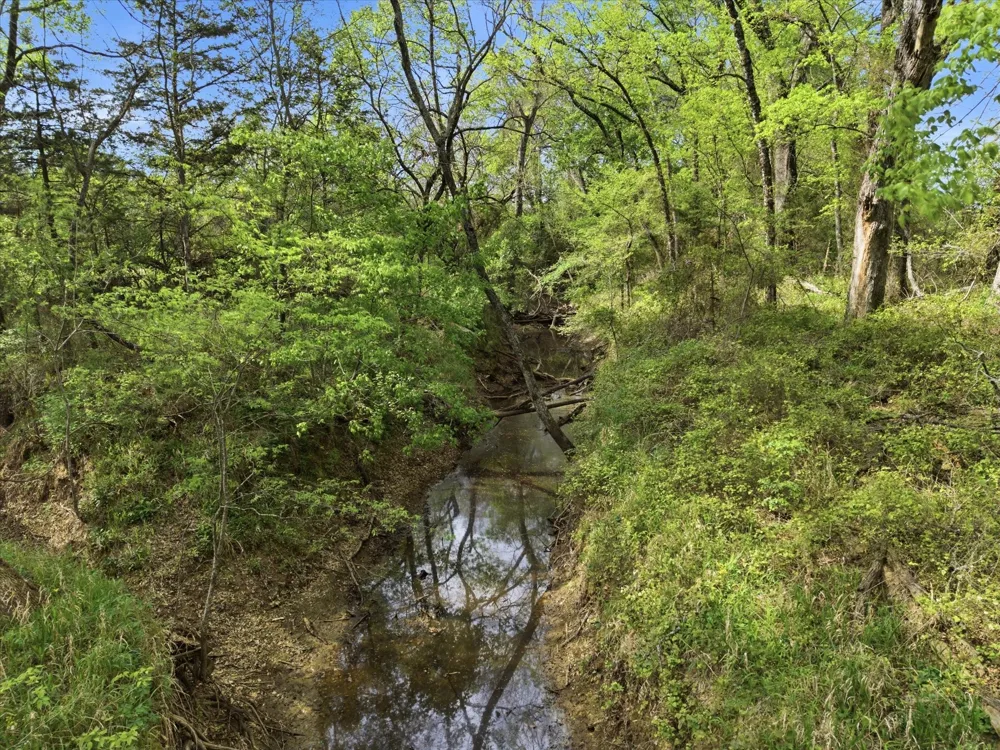 County Road 1151 Miller Grove, TX 75433