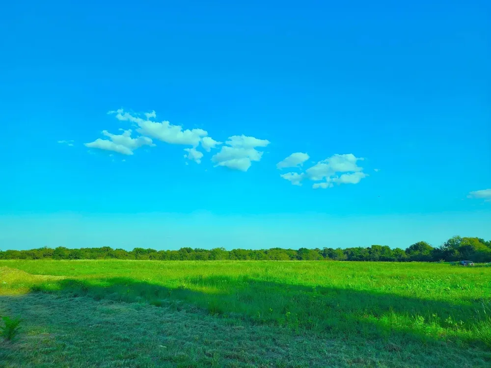 5795 Fm 513 S Lone Oak, TX 75453