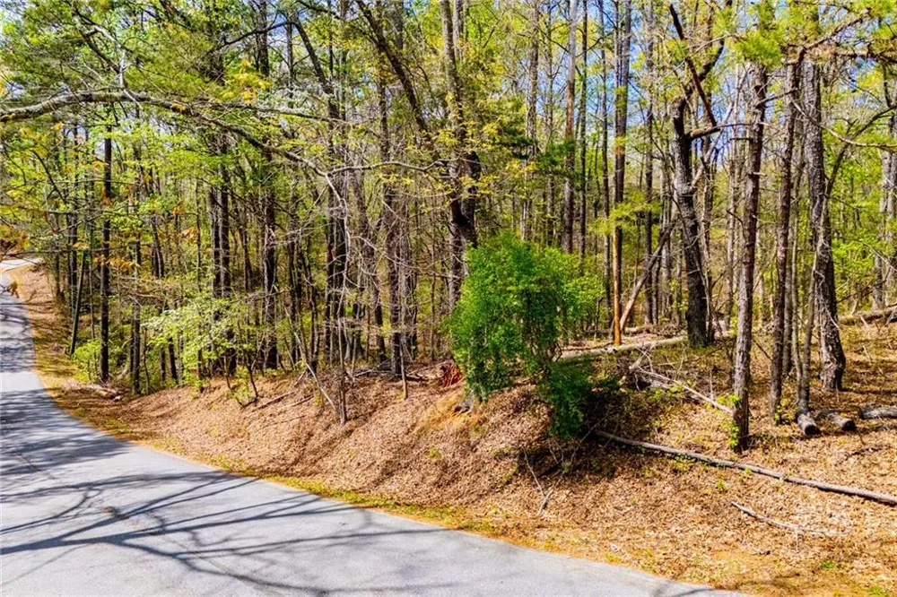 6156 Belle Meade Drive Villa Rica, GA 30180