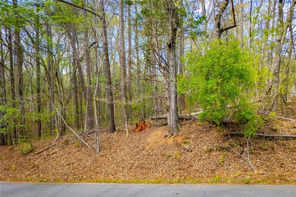 6156 Belle Meade Drive Villa Rica, GA 30180