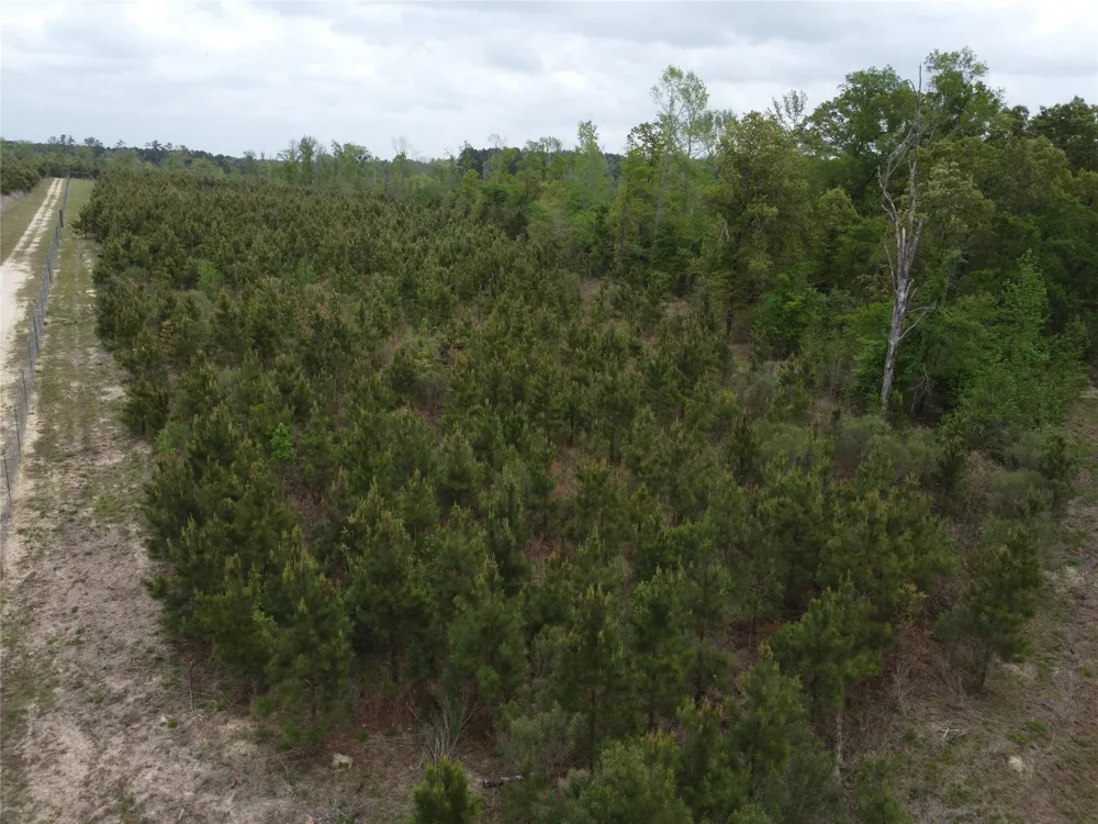 Joy Wright Mount Rd Kilgore, TX 75662