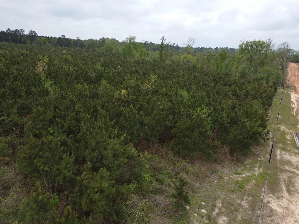 Joy Wright Mount Rd Kilgore, TX 75662